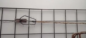 20230526_140233_DNcompressed