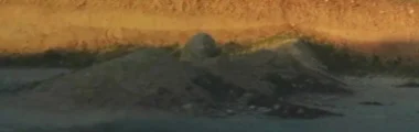 1000158599