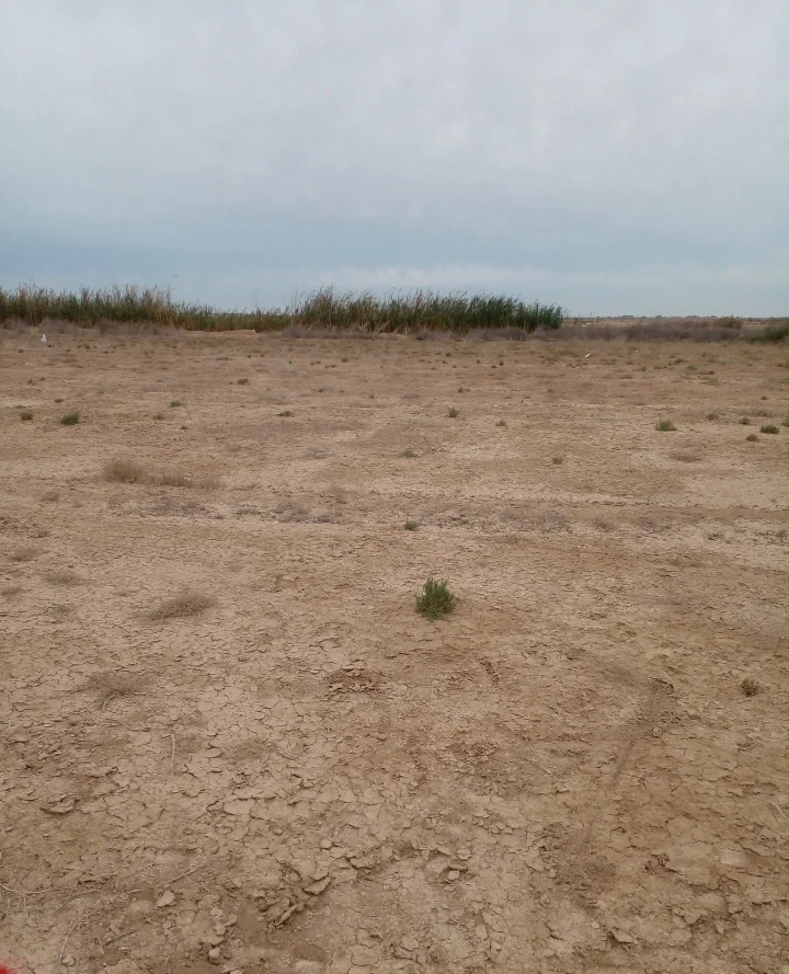 Screenshot_20251023-115701_Gallery-1